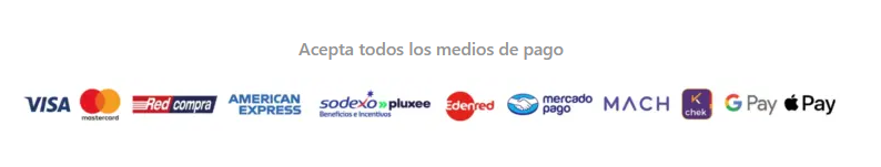 Visa, Mastercard, Redcompra, American Express, Pluxee, Edenred, Mercado Pago, MACH, Google Pay y Apple Pay